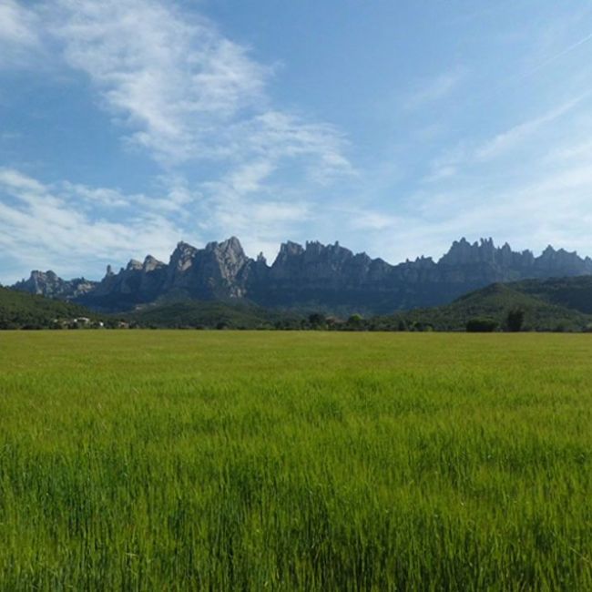 El Románico de Montserrat