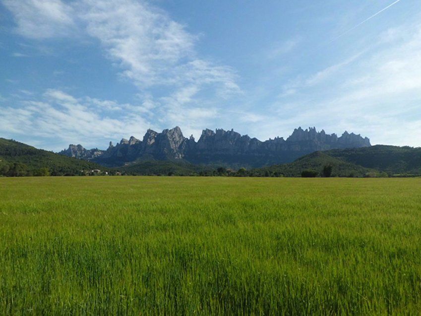 El Románico de Montserrat