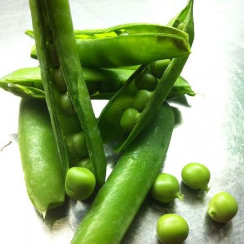 cuina tradicional catalana