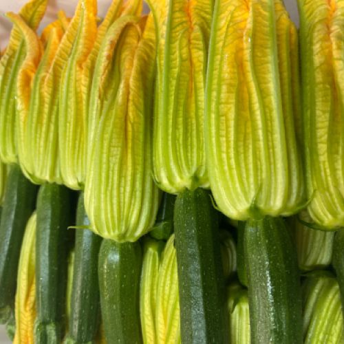 FLORS DE CARBASSÓ DE CAL MONCLAR